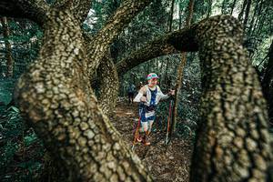 BIB: 
                            <button type="button" onclick="openModal(25392624)" class="btn btn-primary btn-sm float-right btn-popup" data-toggle="modal" data-target=".modal-high-quality">
                        <i class="fas fa-shopping-cart"></i> Add to Cart
                    </button>
                                            <button type="button" onclick="isThisMe(25392624, true)" class="btn btn-success btn-sm float-right btn-popup btn-isme hidden" data-toggle="tooltip" data-placement="bottom" title="นี่คือรูปของคุณใช่ไหม คลิกที่นี่เพื่อเอาเข้าอัลบั้ม">
                        <i class="fas fa-plus"></i> Add to album
                    </button>
                    <button type="button" onclick="isThisMe(25392624, false)" class="btn btn-warning btn-sm float-right btn-popup btn-isnotme hidden">
                        <i class="fas fa-ban"></i> Remove from album
                    </button>